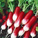 RAVANELLO MEZZO LUNGO ROSSO A PUNTA BIANCA GR.50